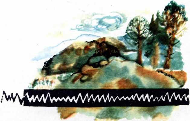 Волшебные руки труда и науки - img_72.jpeg