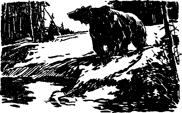 Тайна сибирской платформы - p0132.png