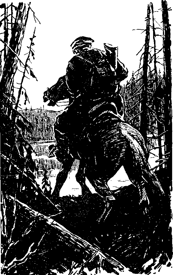 Тайна сибирской платформы - p0146.png