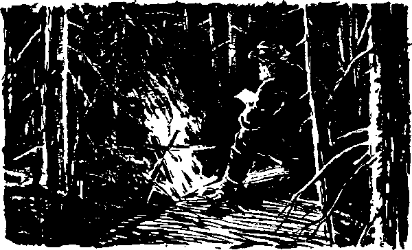 Тайна сибирской платформы - p0200.png