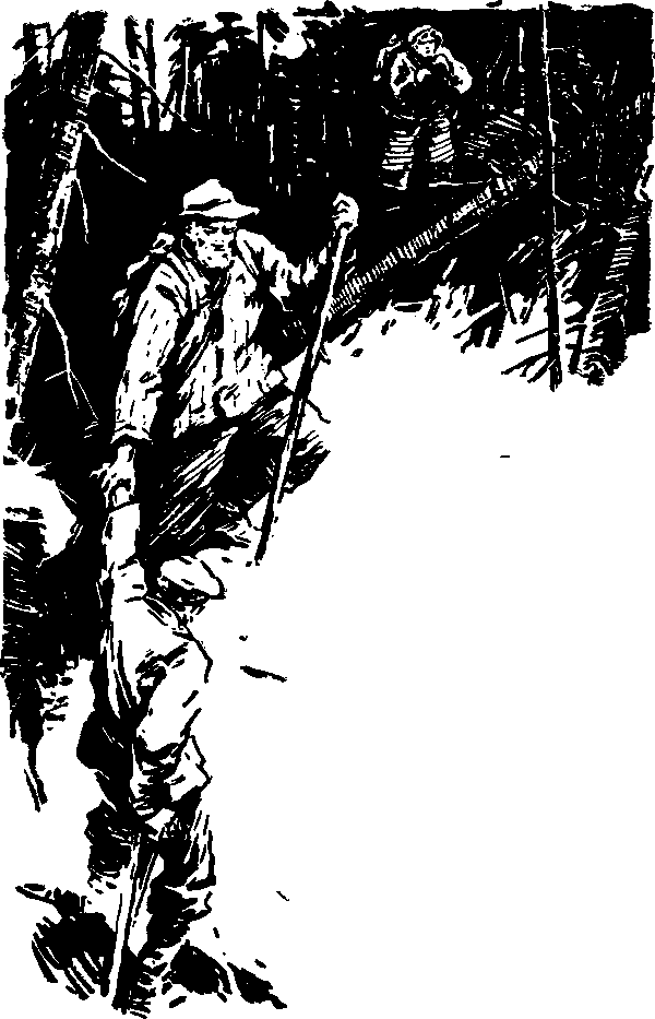 Тайна сибирской платформы - p0215.png