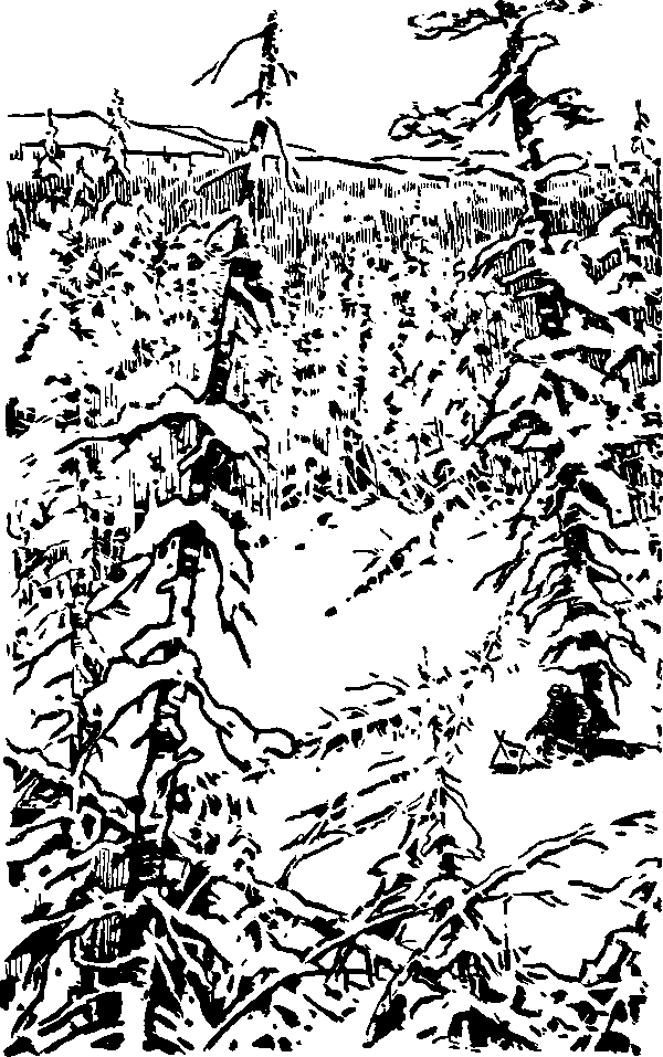 Тайна сибирской платформы - p0220.png