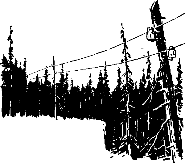 Тайна сибирской платформы - p0242.png