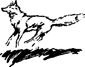 Тайна сибирской платформы - p0257.png