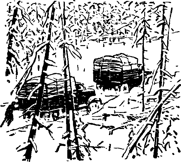 Тайна сибирской платформы - p0263.png