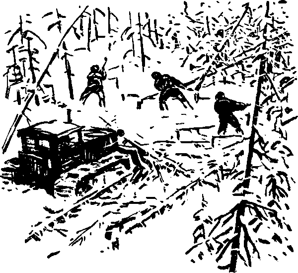 Тайна сибирской платформы - p0264.png