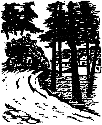 Снежный человек (с илл.) - pic_9.png