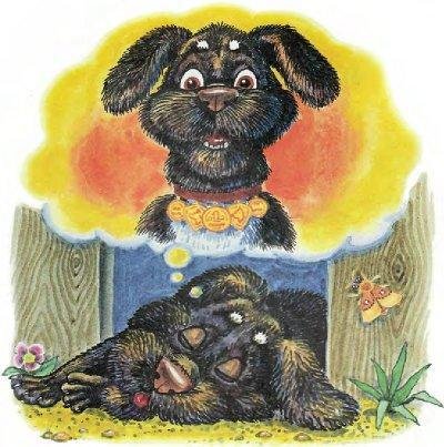 Пузик и Тузик идут по следу - img_14.jpg