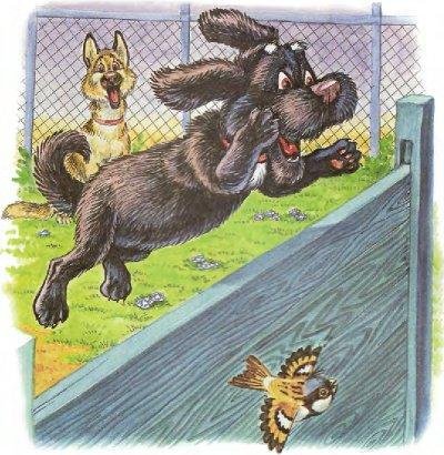 Пузик и Тузик идут по следу - img_16.jpg