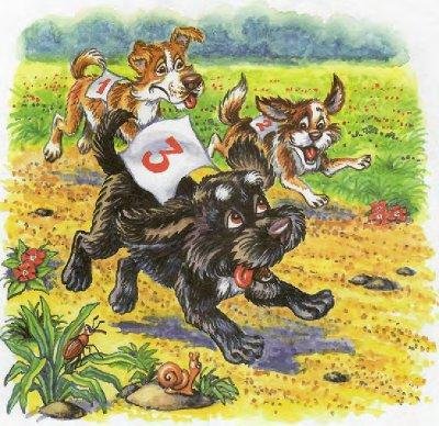 Как Пузик и Тузик раскрыли заговор - img_12.jpg