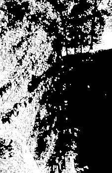 Воины-тени: Ниндзя и ниндзюцу - _21.jpg