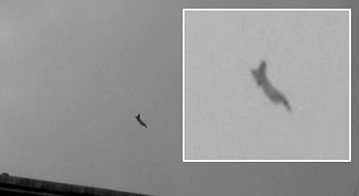 На Зеландію! - pic_12.png