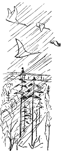 Серебряные зори - i_003.png