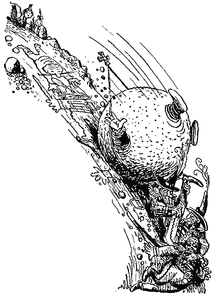 Приключения Чиполлино - g47.png