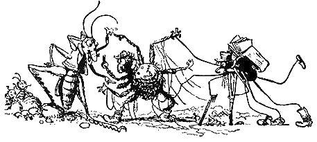 Приключения Чиполлино - g53.png