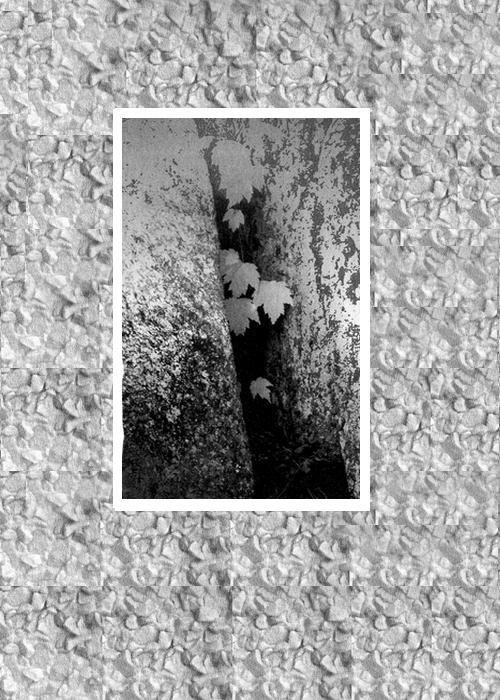 Камушек на ладони. Латышская женская проза - i_016.jpg