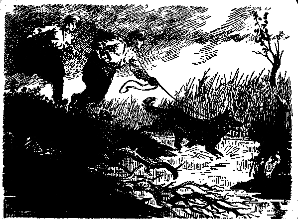 Хребет Скалистый - pic_2.png