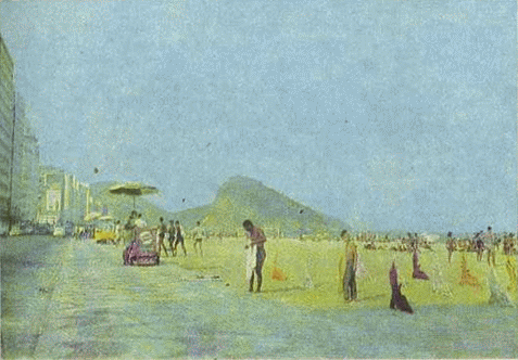 1001 день в Рио-де-Жанейро - i_019.png