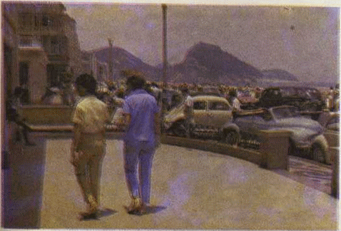 1001 день в Рио-де-Жанейро - i_023.png