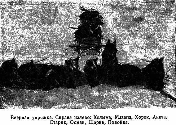 Два года на северной земле - i_045.png