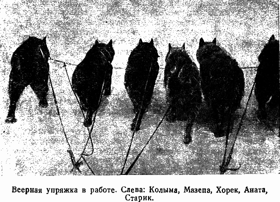 Два года на северной земле - i_046.png