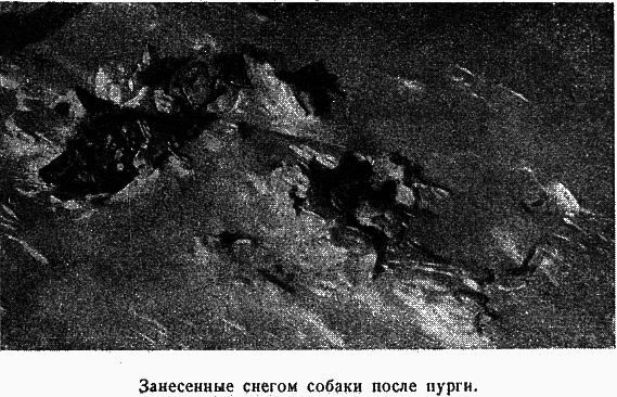 Два года на северной земле - i_058.png