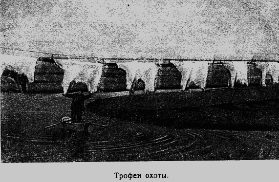 Два года на северной земле - i_082.png