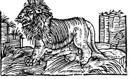 Сафари под Килиманджаро - i_018.jpg