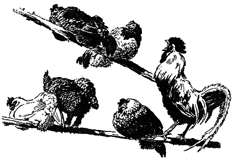 Понимайка и лось - i_008.png