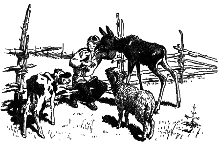 Понимайка и лось - i_011.png