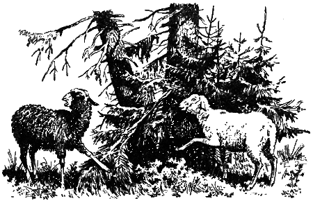 Понимайка и лось - i_012.png