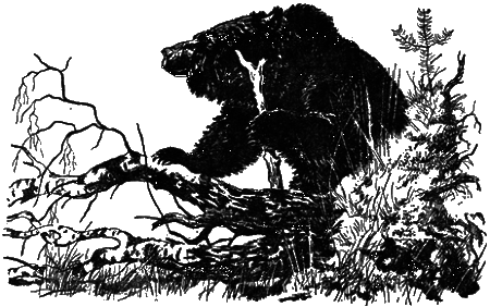 Понимайка и лось - i_014.png