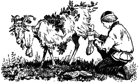 Понимайка и лось - i_016.png