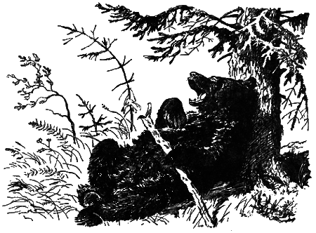 Понимайка и лось - i_017.png