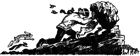 Понимайка и лось - i_019.png