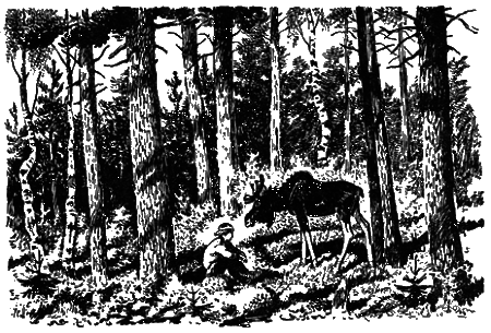 Понимайка и лось - i_021.png