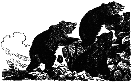 Понимайка и лось - i_023.png