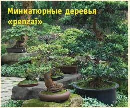 Китай. Путеводитель. Узнать на 20% больше, заплатить на 20% меньше - i_080.jpg