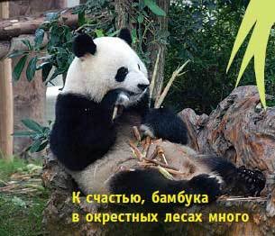 Китай. Путеводитель. Узнать на 20% больше, заплатить на 20% меньше - i_093.jpg