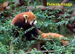 Китай. Путеводитель. Узнать на 20% больше, заплатить на 20% меньше - i_094.jpg