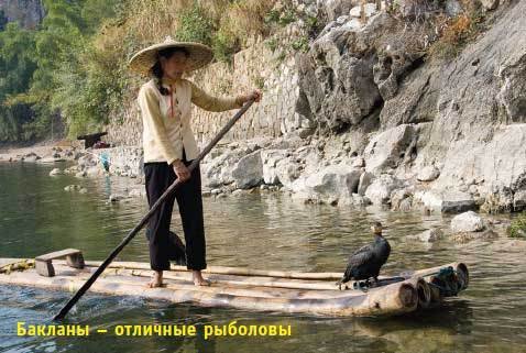 Китай. Путеводитель. Узнать на 20% больше, заплатить на 20% меньше - i_147.jpg