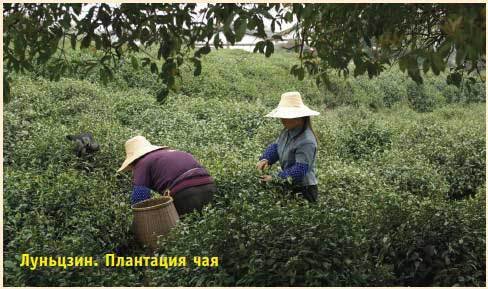 Китай. Путеводитель. Узнать на 20% больше, заплатить на 20% меньше - i_163.jpg