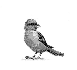 Душница. Время выбирать - i_006.jpg