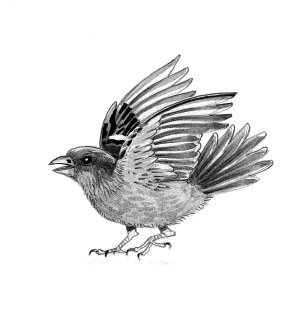 Душница. Время выбирать - i_020.jpg