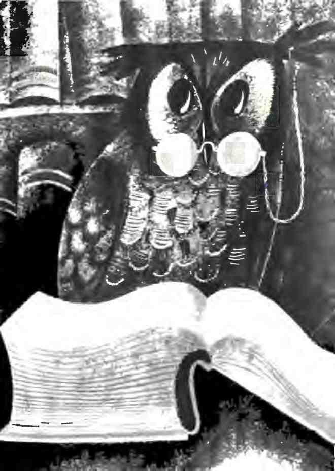 Снег отправляется в город - i_007.jpg