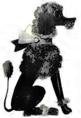 Снег отправляется в город - i_012.jpg