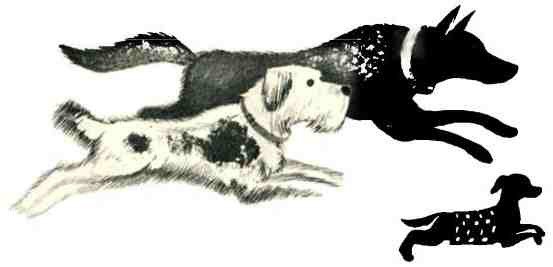 Снег отправляется в город - i_016.jpg