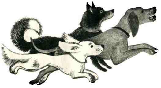 Снег отправляется в город - i_017.jpg