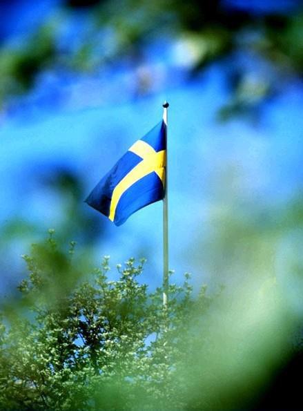 ИКЕА изнутри (бизнес-кейс) - i_003.jpg