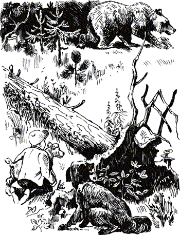 Мальчик и две собаки - doc2fb_image_03000001.png